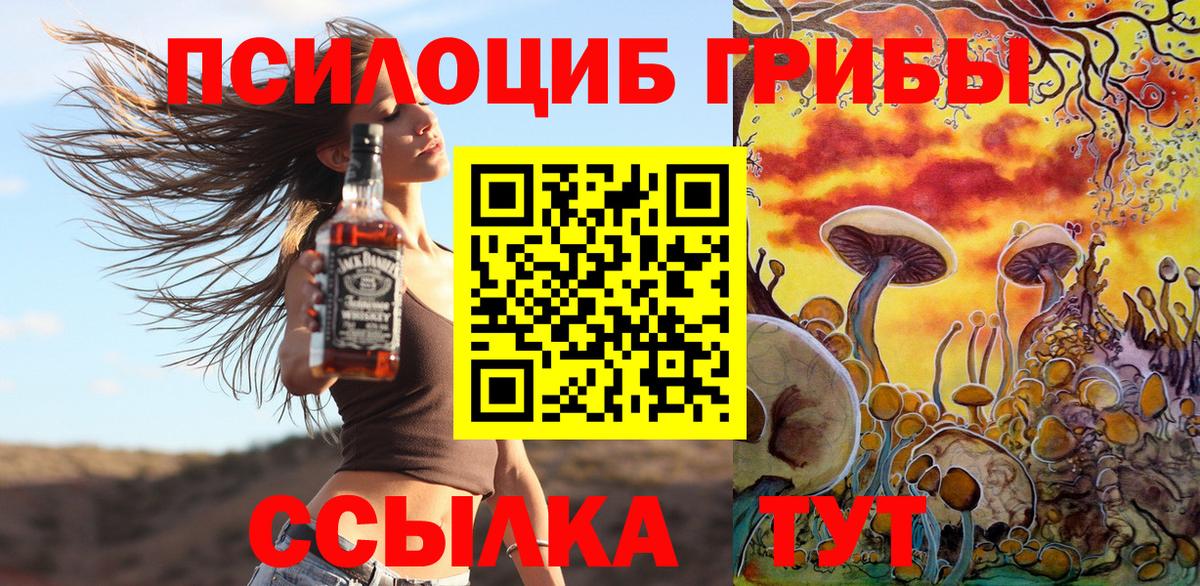 Псилоцибиновые грибы Psilocybine cubensis Великий Новгород