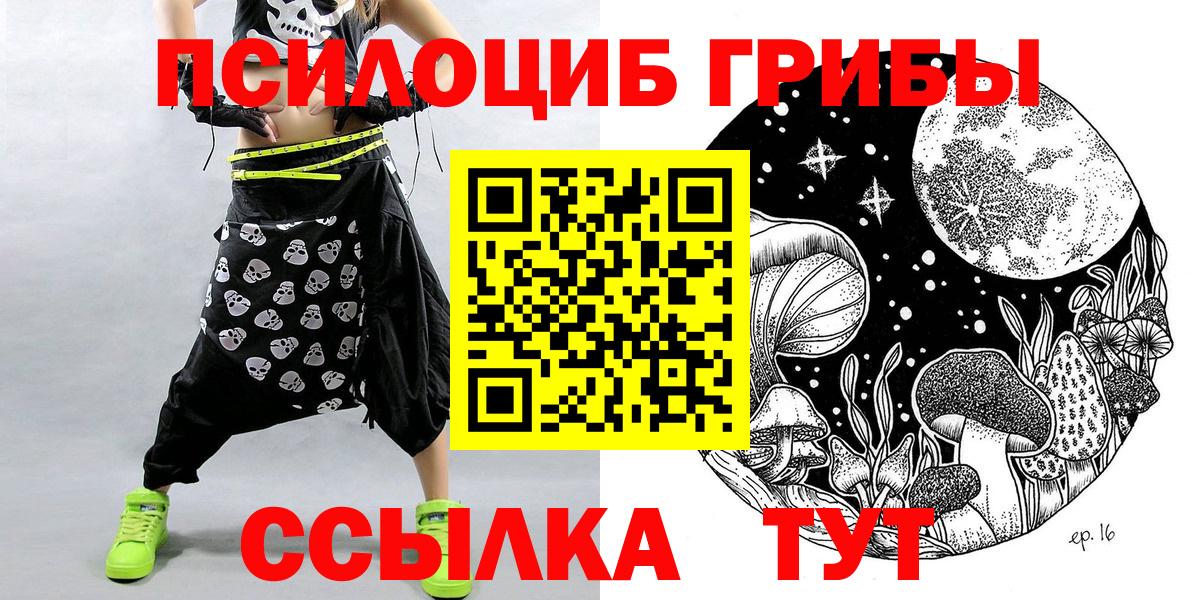 Великий Новгород  как найти наркотики  Вход с VPN  Галлюциногенные грибы Psilocybe 